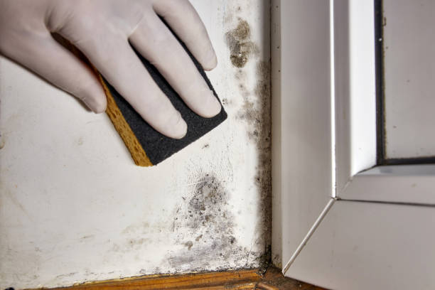 Best Residential Mold Inspection & Testing  in Crooks, SD